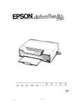 Epson ActionPrinter 2250 - ActionPrinter-2250 Impact Printer User`s guide