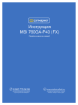 MSI P43 User manual