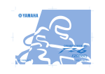 Yamaha FZS6V(C) Owner`s manual