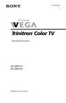 ProScan CRT Television Operating instructions